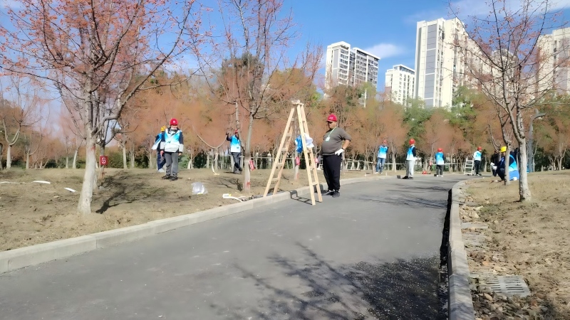 1761633921856816.jpg 1761633921856816.jpg