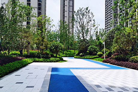 香港论坛资料站